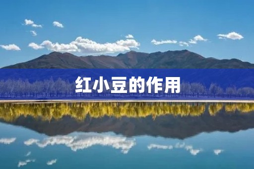 红小豆的作用:从食物到药物 红小豆的作用:从食物到药物