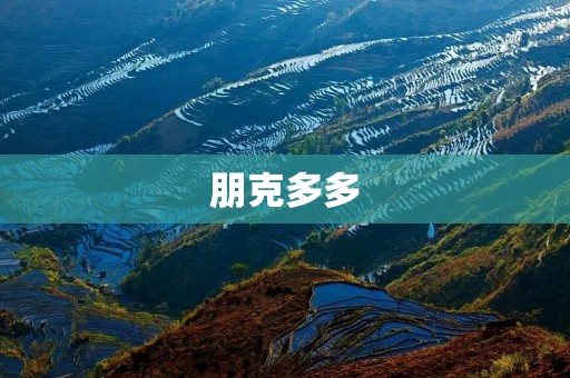 朋克多多:独特的视觉风格与品牌文化 朋克多多:独特的视觉风格与品牌文化