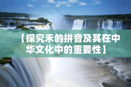 【探究禾的拼音及其在中华文化中的重要性】