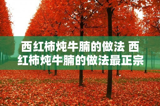 西红柿炖牛腩的做法 西红柿炖牛腩的做法最正宗的做法