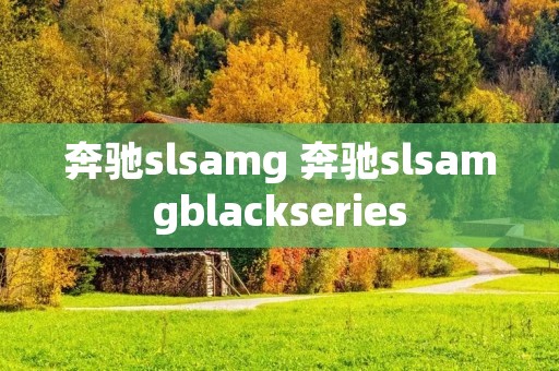 奔驰slsamg 奔驰slsamgblackseries