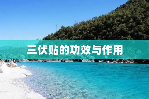 三伏贴的功效与作用：缓解疼痛、促进血液循环、清除湿气