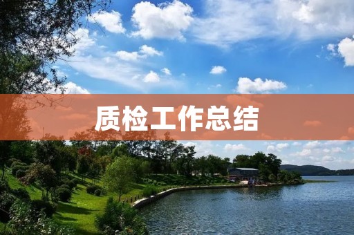 质检工作总结:如何提高质检效率和质量