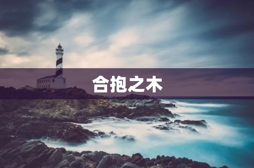 合抱之木：一种与自然和谐相处的生态哲学