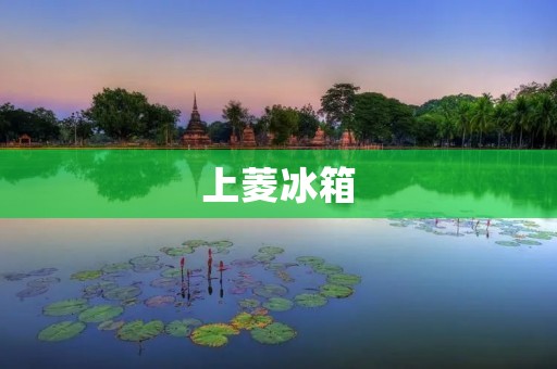 上菱冰箱:一线品质的选择 上菱冰箱:一线品质的选择