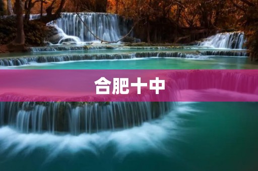 合肥十中：打造优秀教育品牌