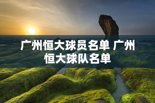 广州恒大球员名单 广州恒大球队名单
