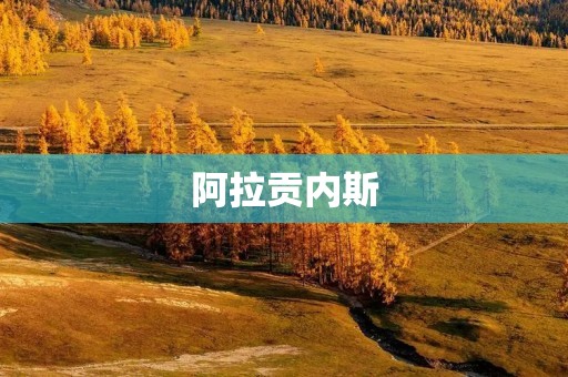 阿拉贡内斯：西班牙最古老的马匹品种