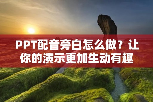 PPT配音旁白怎么做?让你的演示更加生动有趣