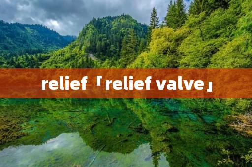 relief「relief valve」
