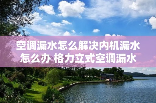 空调漏水怎么解决内机漏水怎么办 格力立式空调漏水怎么解决内机漏水怎么办