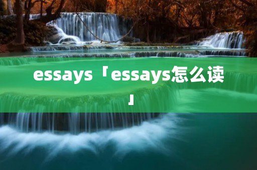 essays「essays怎么读」