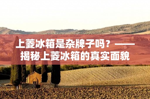上菱冰箱是杂牌子吗？——揭秘上菱冰箱的真实面貌
