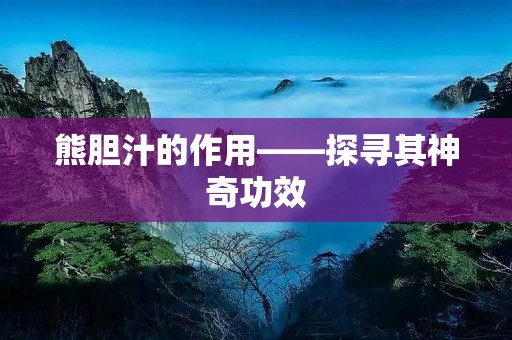 熊胆汁的作用——探寻其神奇功效