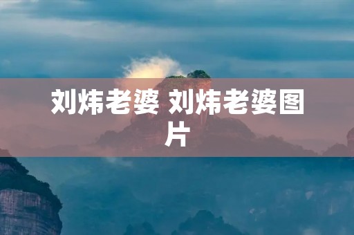 刘炜老婆 刘炜老婆图片