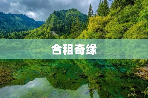 合租奇缘:与陌生人同居的美好与挑战 合租奇缘:与陌生人同居的美好与挑战