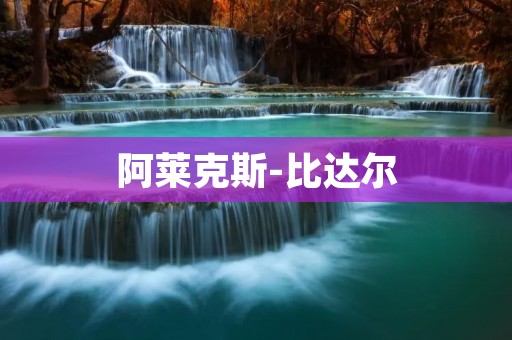 阿莱克斯-比达尔：探索未知领域的机器人先驱