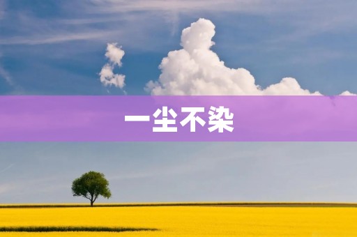 一尘不染:践行生活的美好