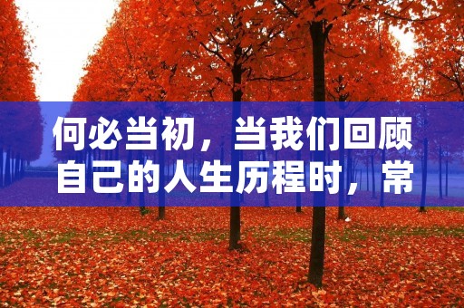 何必当初，当我们回顾自己的人生历程时，常常会想起这样一个问题。回首过去，我们或许会发现自己曾经做出了一些错误的决定，或者错失了一些机会，而这些决定和机会的失落，有时候会对我们的人生产生深远的影响。那么，为什么我们会犯错，为什么我们会错失机会呢？