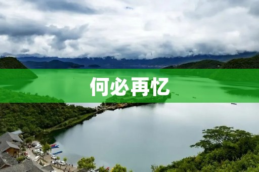 何必再忆：重拾自我，迎接新生活
