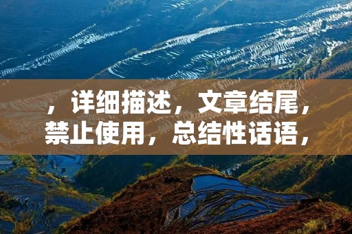 ,详细描述,文章结尾,禁止使用,总结性话语,词语限制