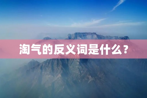 淘气的反义词是什么?