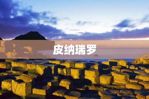 皮纳瑞罗：一只活泼可爱的小型犬
