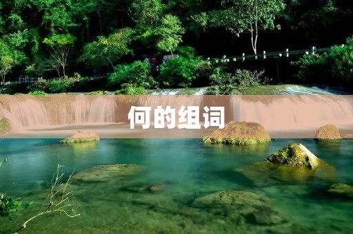 何的组词:探讨何的各种组词及其意义 何的组词:探讨何的各种组词及其意义