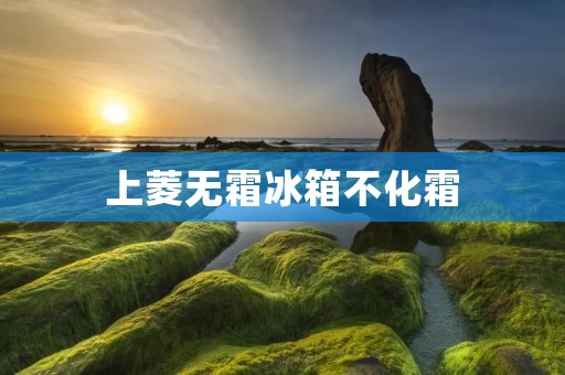 上菱无霜冰箱不化霜:真正的智能冰箱 上菱无霜冰箱不化霜:真正的智能冰箱