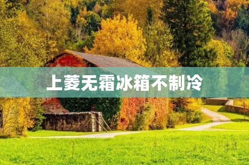 上菱无霜冰箱不制冷：故障原因及解决方法