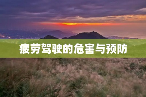 疲劳驾驶的危害与预防