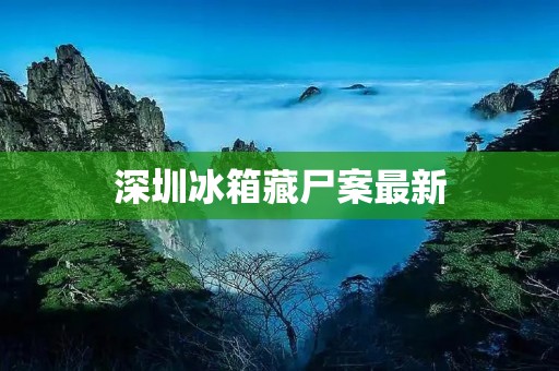 深圳冰箱藏尸案最新:警方成功抓获犯罪嫌疑人 深圳冰箱藏尸案最新:警方成功抓获犯罪嫌疑人