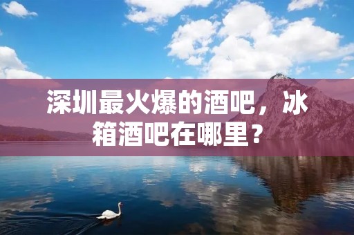 深圳最火爆的酒吧,冰箱酒吧在哪里? 深圳最火爆的酒吧,冰箱酒吧在哪里?