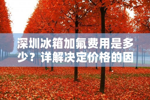 深圳冰箱加氟费用是多少?详解决定价格的因素和加氟的必要性 深圳冰箱加氟费用是多少?详解决定价格的因素和加氟的必要性