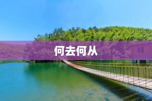 何去何从:面对人生路口的抉择 何去何从:面对人生路口的抉择
