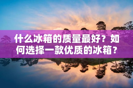 什么冰箱的质量最好?如何选择一款优质的冰箱? 什么冰箱的质量最好?如何选择一款优质的冰箱?
