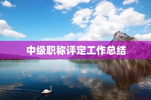 中级职称评定工作总结