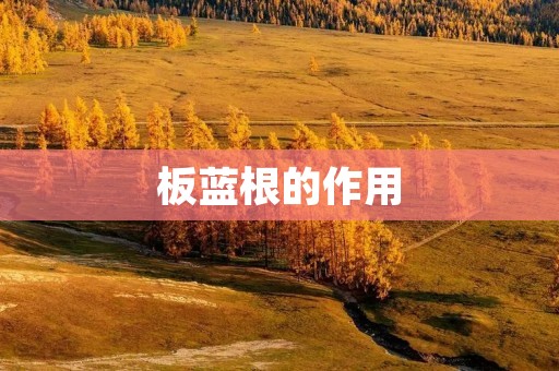 板蓝根的作用:抗病毒、抗菌、抗炎、降热、解毒 板蓝根的作用:抗病毒、抗菌、抗炎、降热、解毒