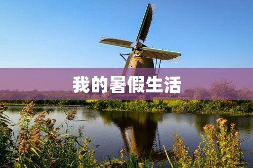 我的暑假生活