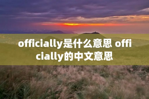 officially是什么意思 officially的中文意思