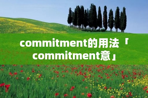 commitment的用法「commitment意」 commitment的用法「commitment意」