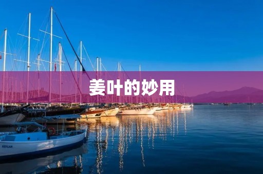 姜叶的妙用：如何用姜叶做出美味佳肴？