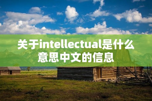 关于intellectual是什么意思中文的信息