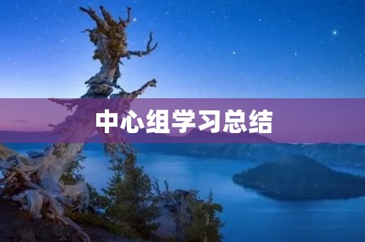 中心组学习总结