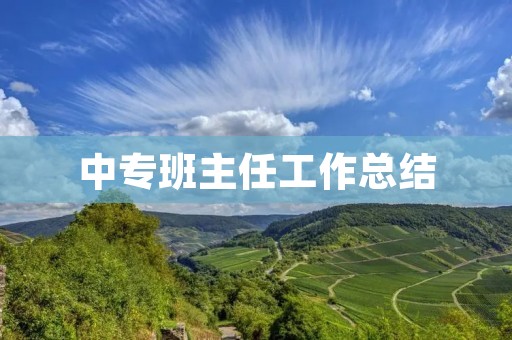 中专班主任工作总结