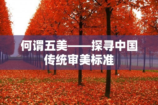 何谓五美——探寻中国传统审美标准