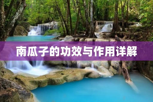 南瓜子的功效与作用详解 南瓜子的功效与作用详解