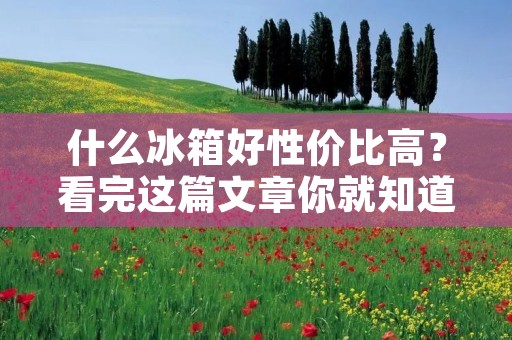 什么冰箱好性价比高?看完这篇文章你就知道了! 什么冰箱好性价比高?看完这篇文章你就知道了!