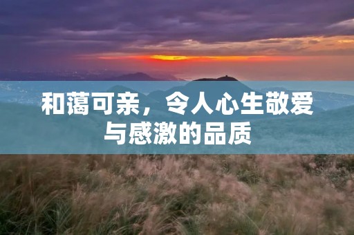 和蔼可亲,令人心生敬爱与感激的品质 和蔼可亲,令人心生敬爱与感激的品质