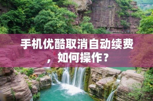 手机优酷取消自动续费,如何操作?